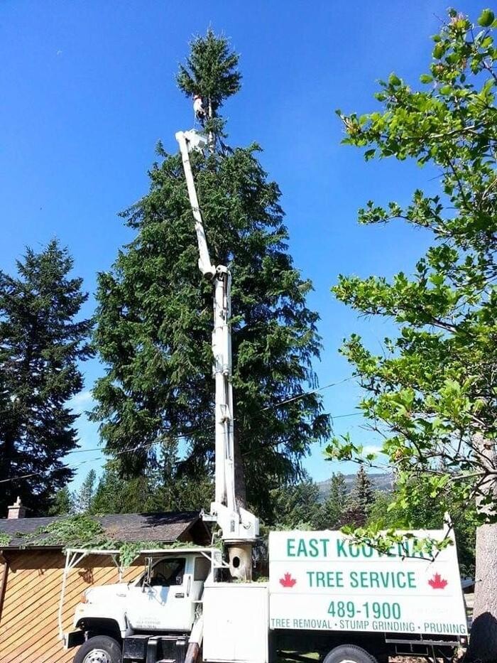 Images East Kootenay Tree Service