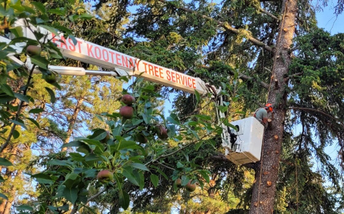 Images East Kootenay Tree Service
