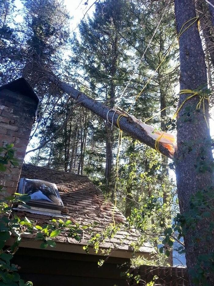 Images East Kootenay Tree Service