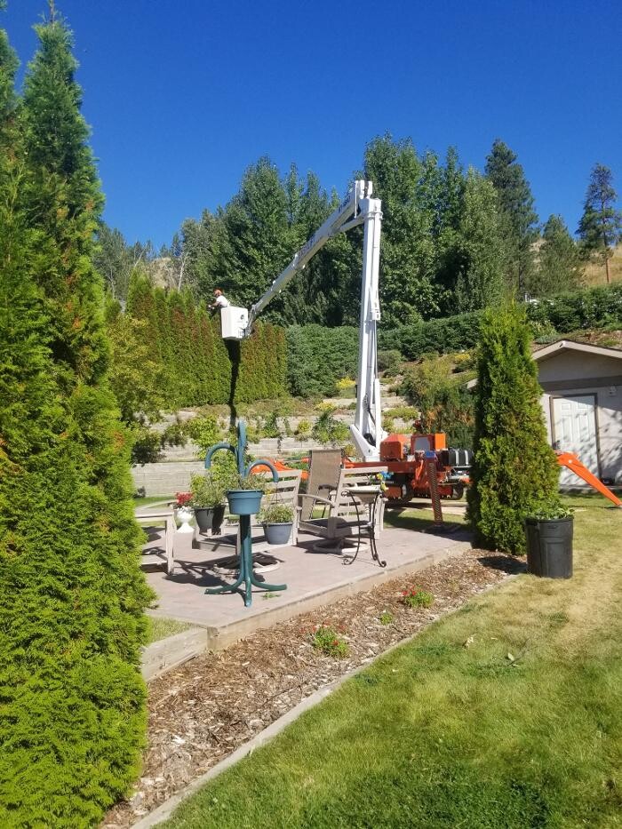 Images East Kootenay Tree Service