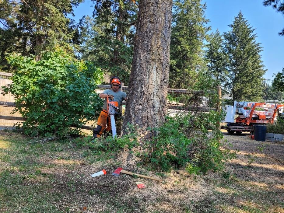 Images East Kootenay Tree Service