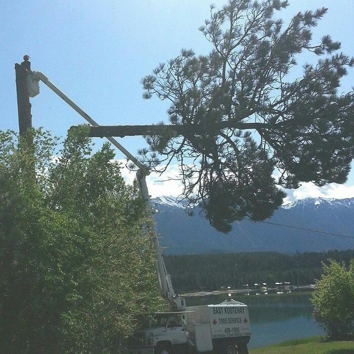 Images East Kootenay Tree Service