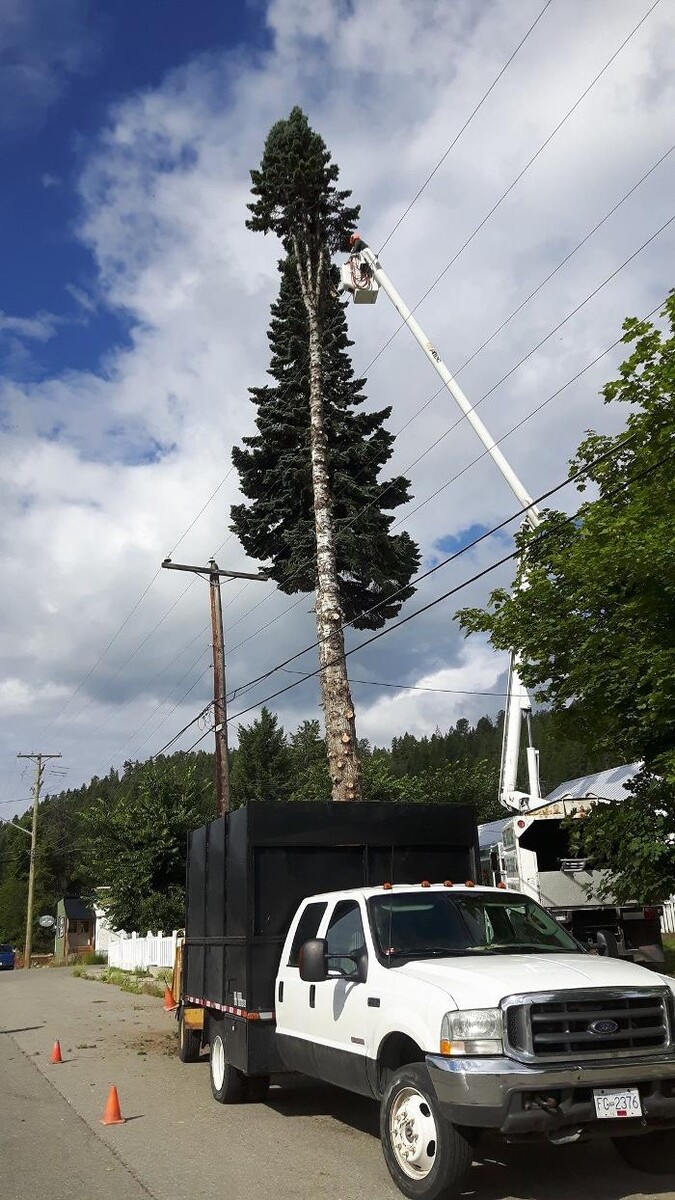 Images East Kootenay Tree Service