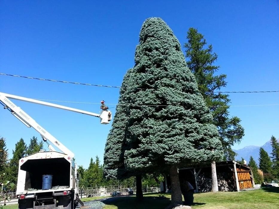 Images East Kootenay Tree Service