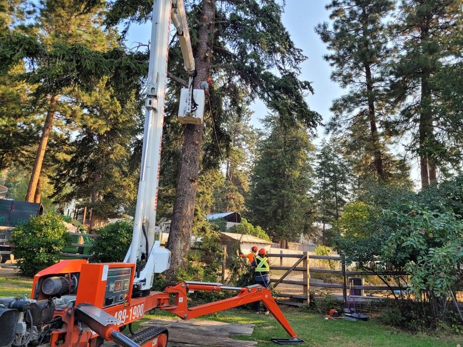 Images East Kootenay Tree Service