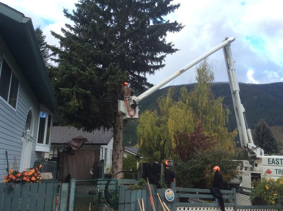 Images East Kootenay Tree Service