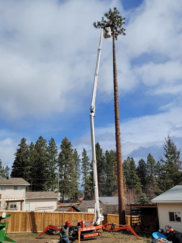 Images East Kootenay Tree Service