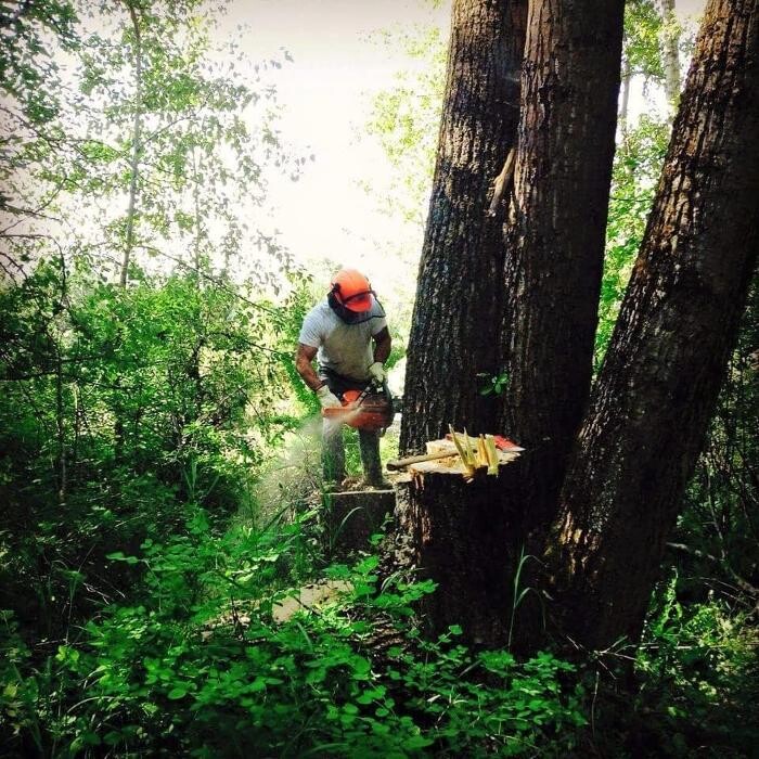 Images East Kootenay Tree Service