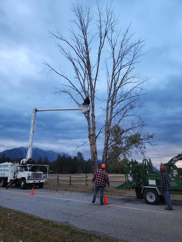 Images East Kootenay Tree Service