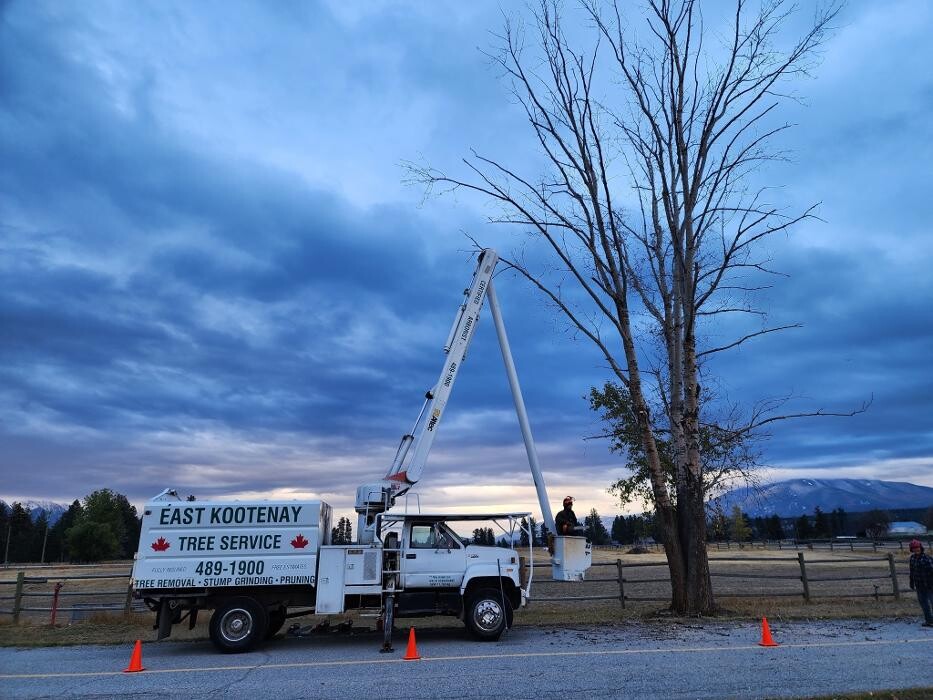 Images East Kootenay Tree Service