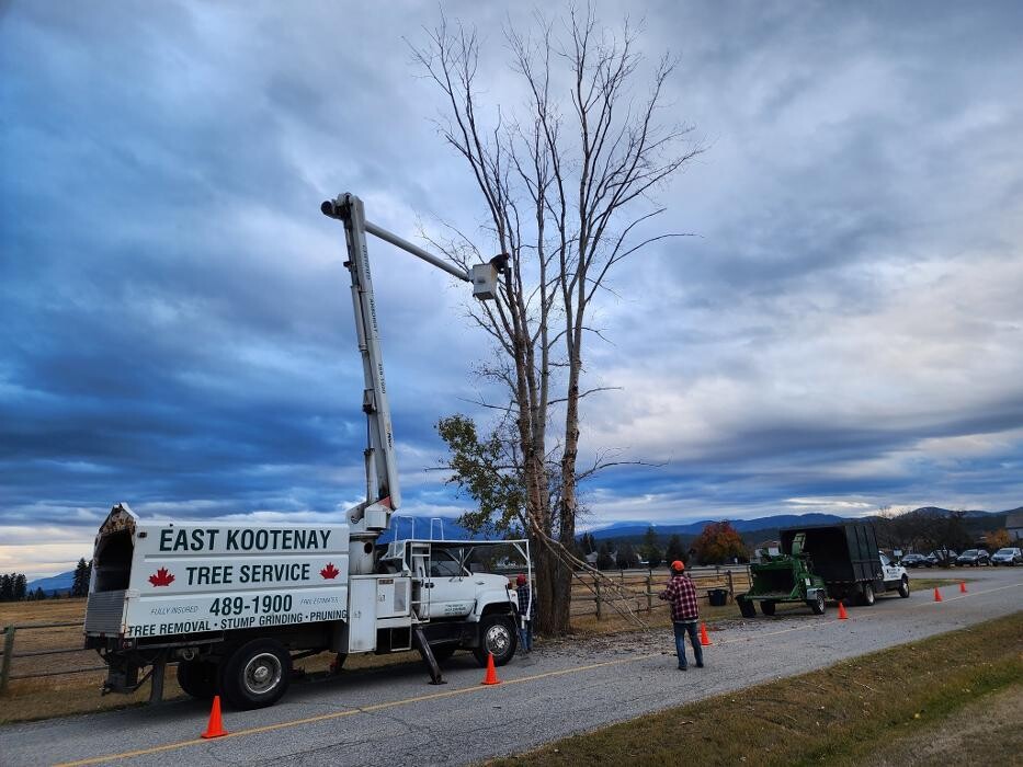 Images East Kootenay Tree Service