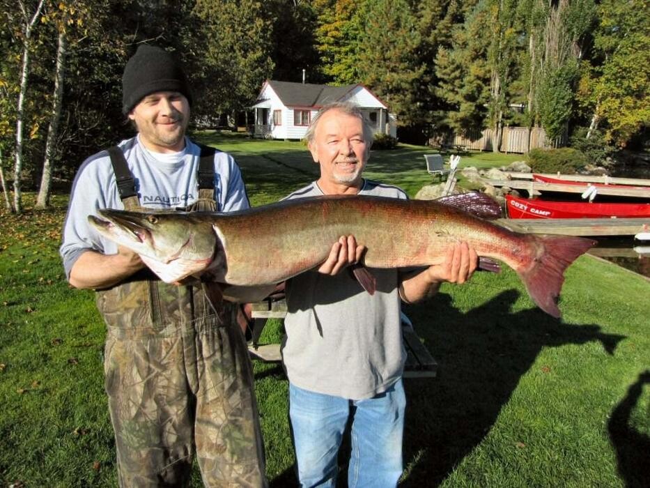 Images Cozy Camp Cottages