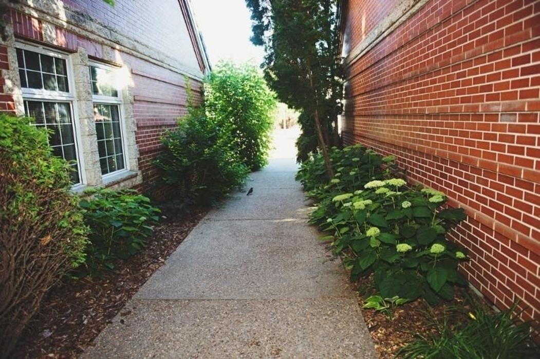 Images Spitz Ashley Dr