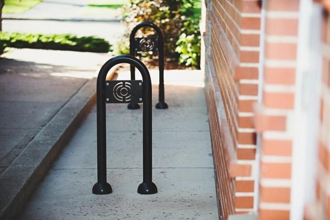 Images Spitz Ashley Dr