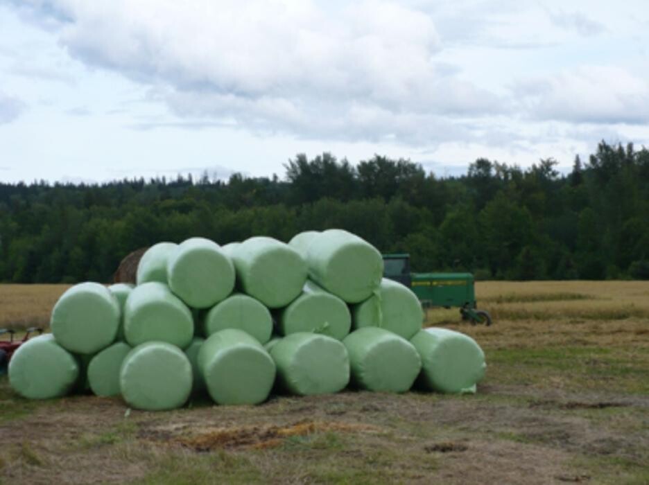 Images Lazy F D Ranches & Hay Sales Ltd