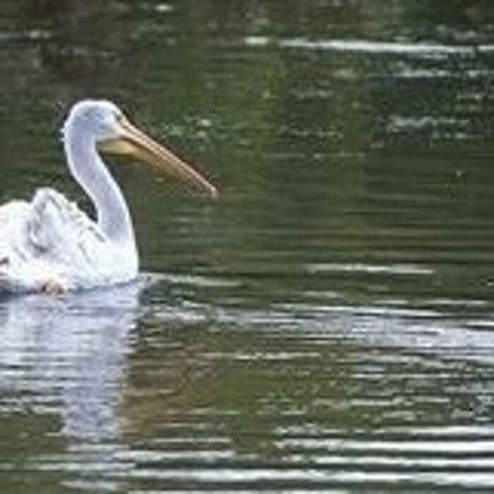 Images Barney's Lakeside Resort