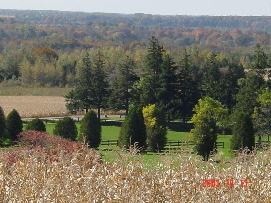 Images Waymark Farms Ltd