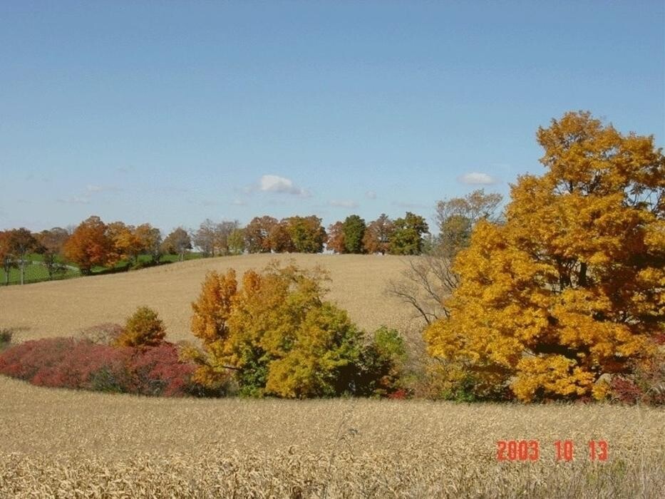 Images Waymark Farms Ltd
