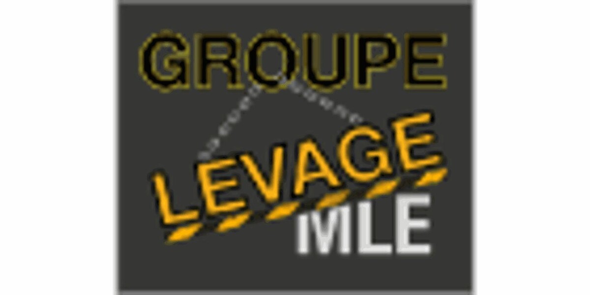 Groupe Levage MLE Inc Logo