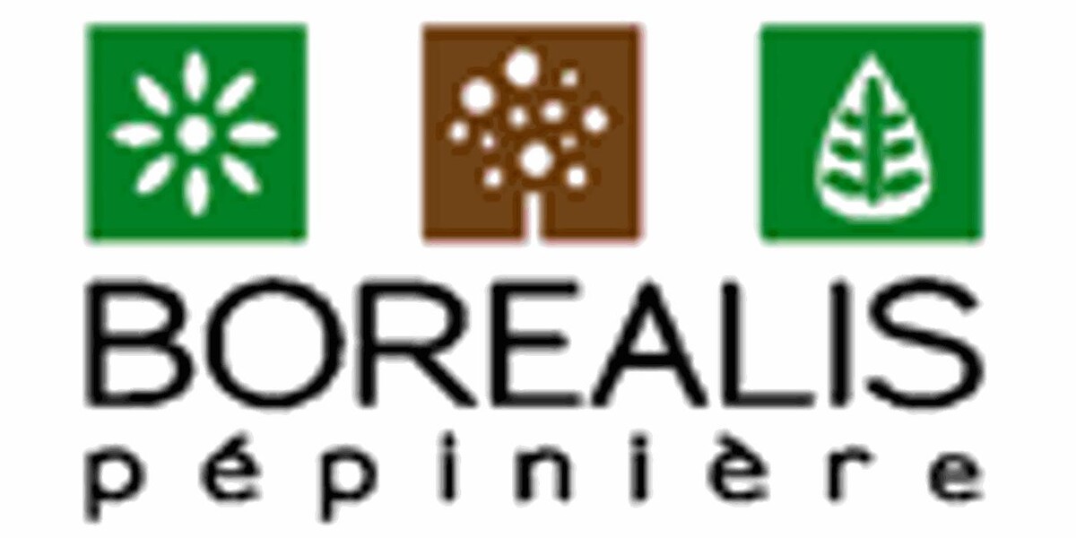 Pepinière Borealis Logo
