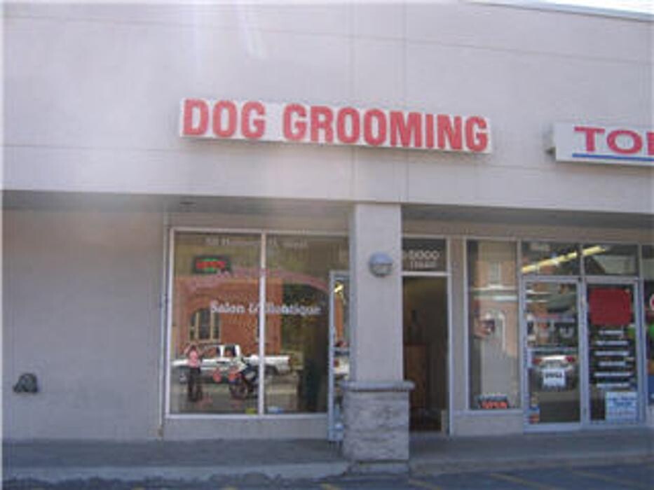 Images Doggie Styles Grooming Salon & Boutique