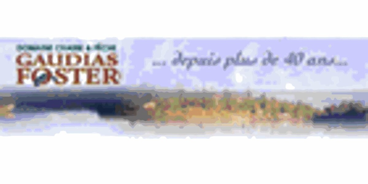 Domaine Chasse et Pêche Gaudias Foster Inc Logo