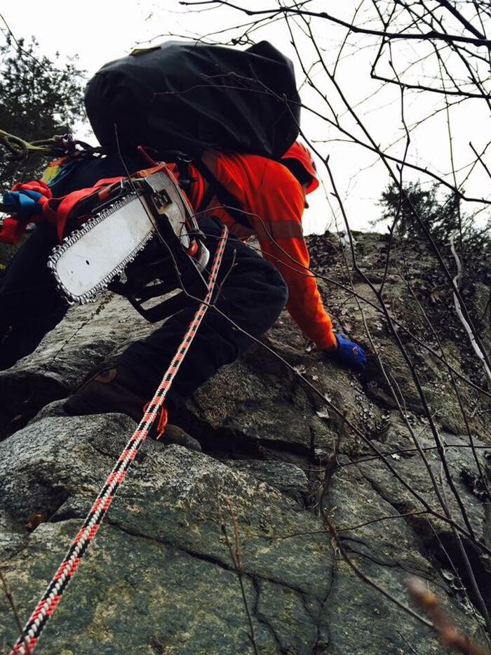 Images Elagage Remarquable Inc