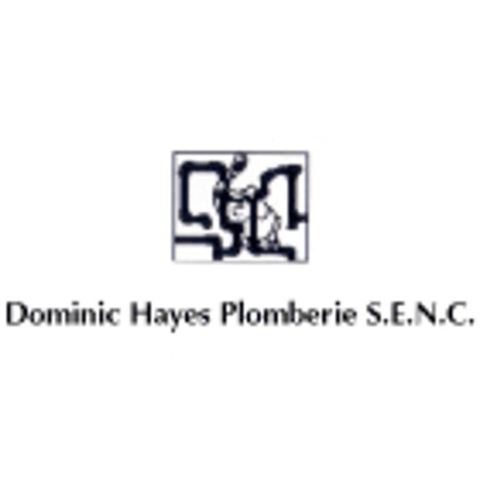 Images Dominic Hayes plomberie INC