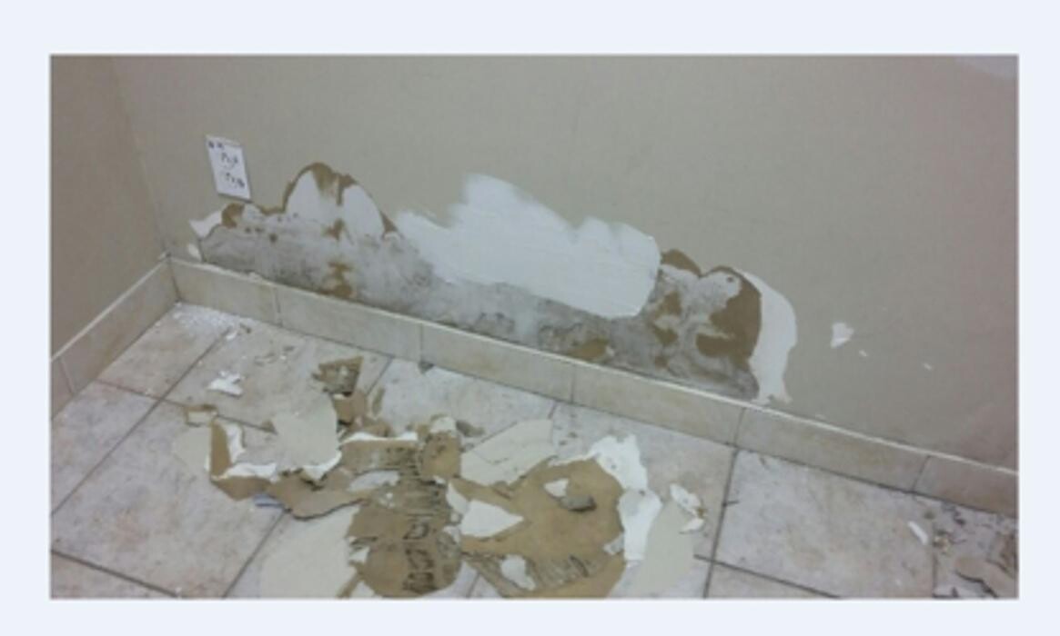Images Durandis Ligne