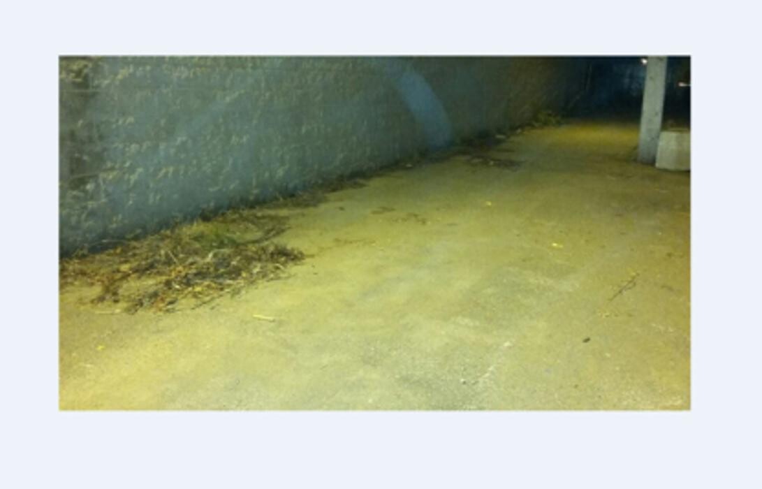 Images Durandis Ligne
