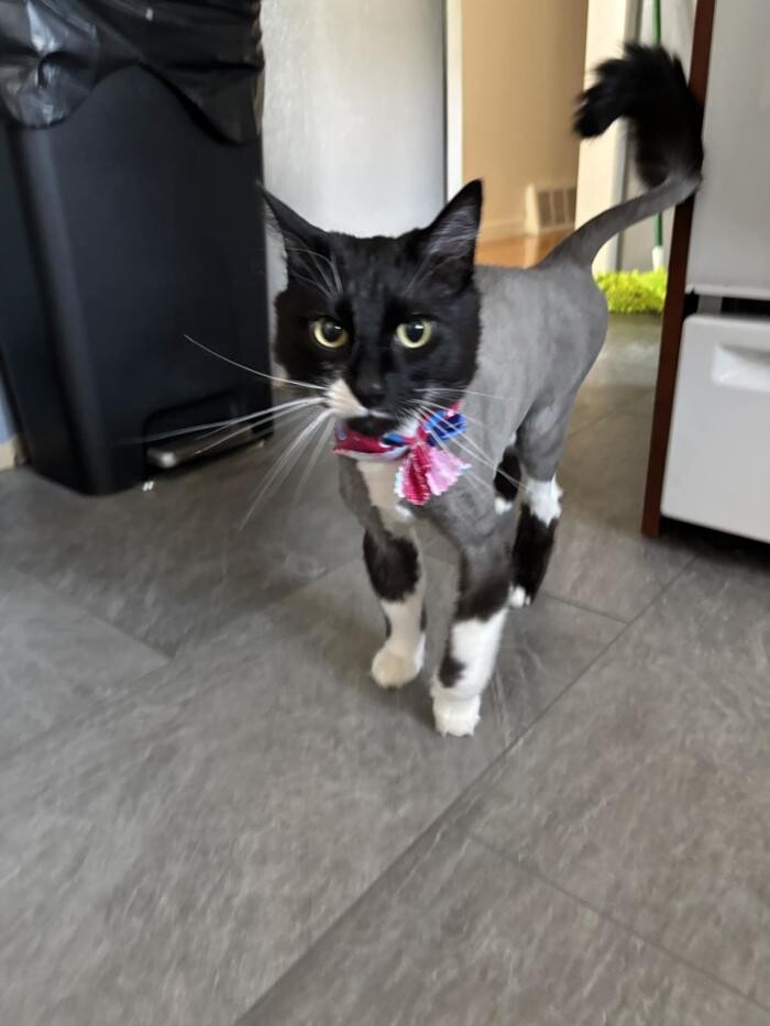 Images Lyne Michaud Directrice des Ventes Indépendantes Mary Kay