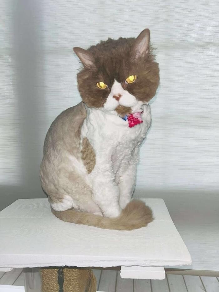 Images Lyne Michaud Directrice des Ventes Indépendantes Mary Kay