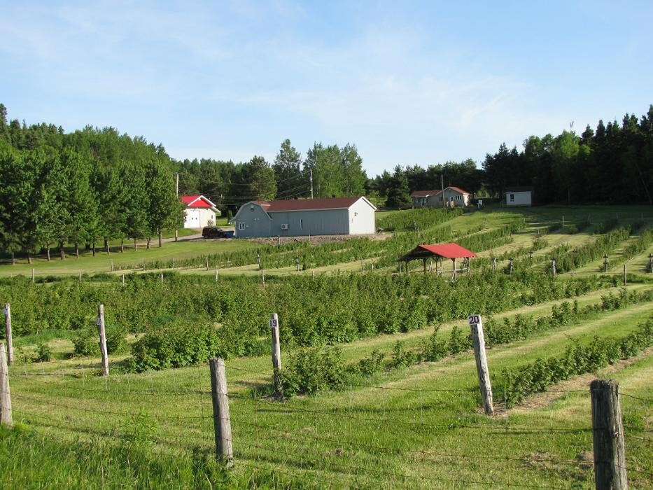 Images Domaine Le Cageot-Vignoble