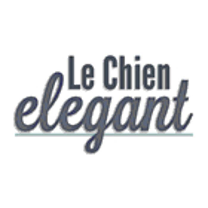 Images Le Chien Elegant