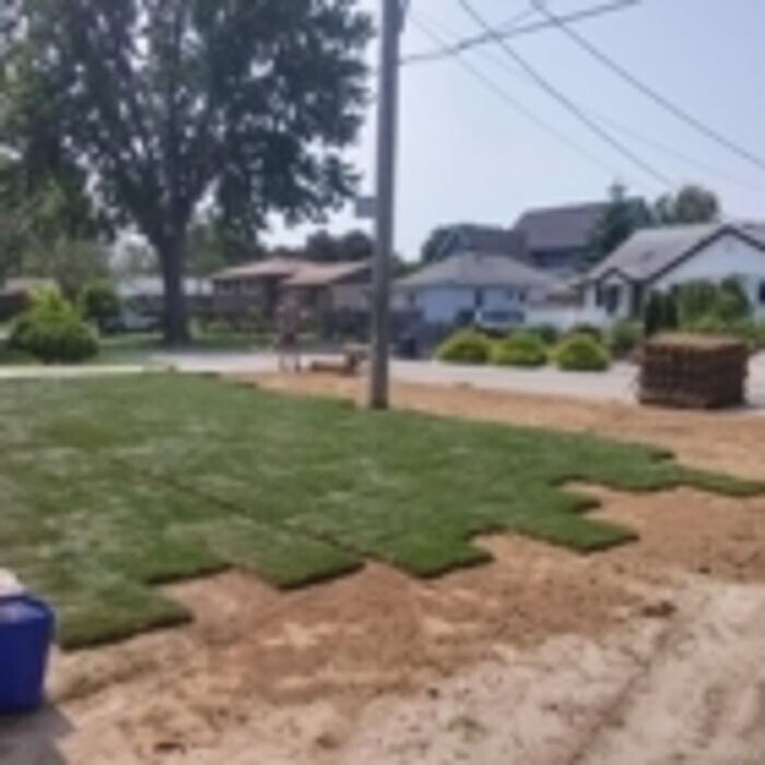 Images Cut Rite Lawns