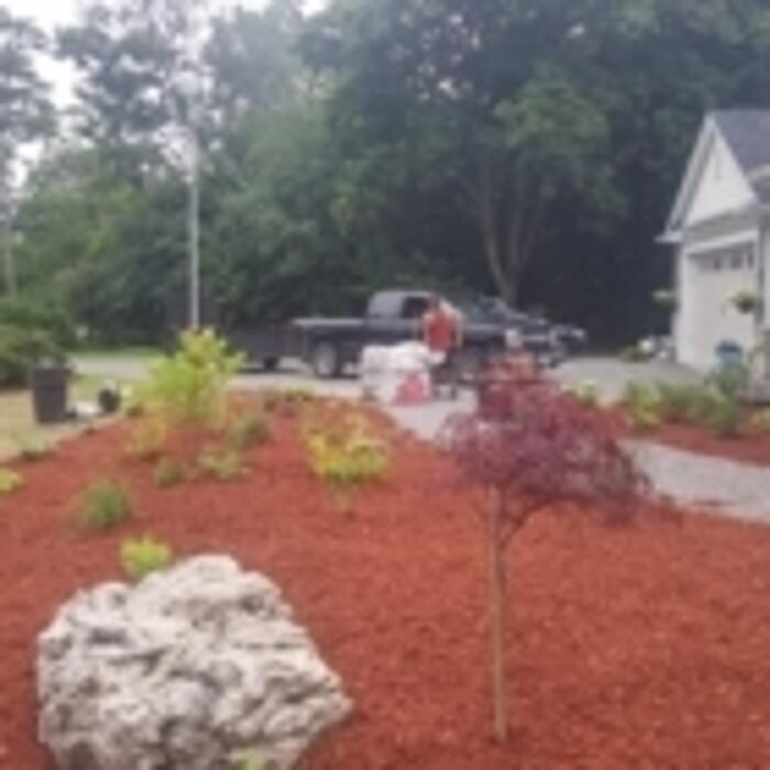Images Cut Rite Lawns