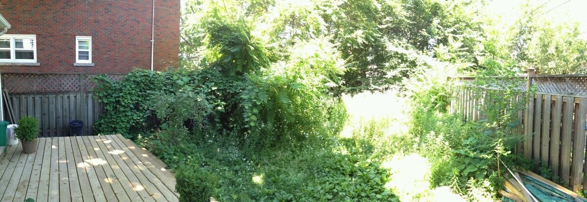 Images Cut Rite Lawns