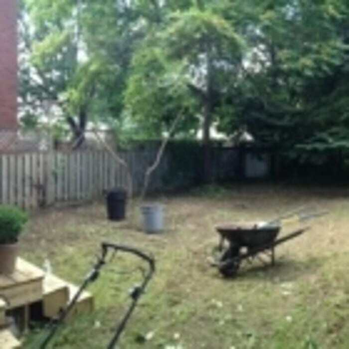 Images Cut Rite Lawns