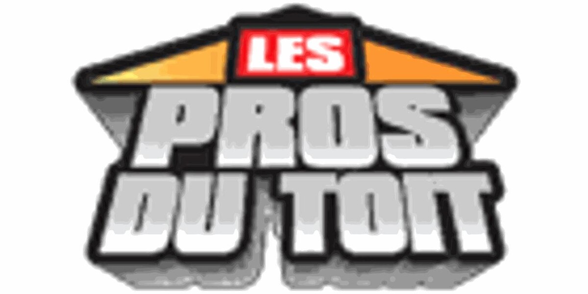 Les Pros Du Toit Logo