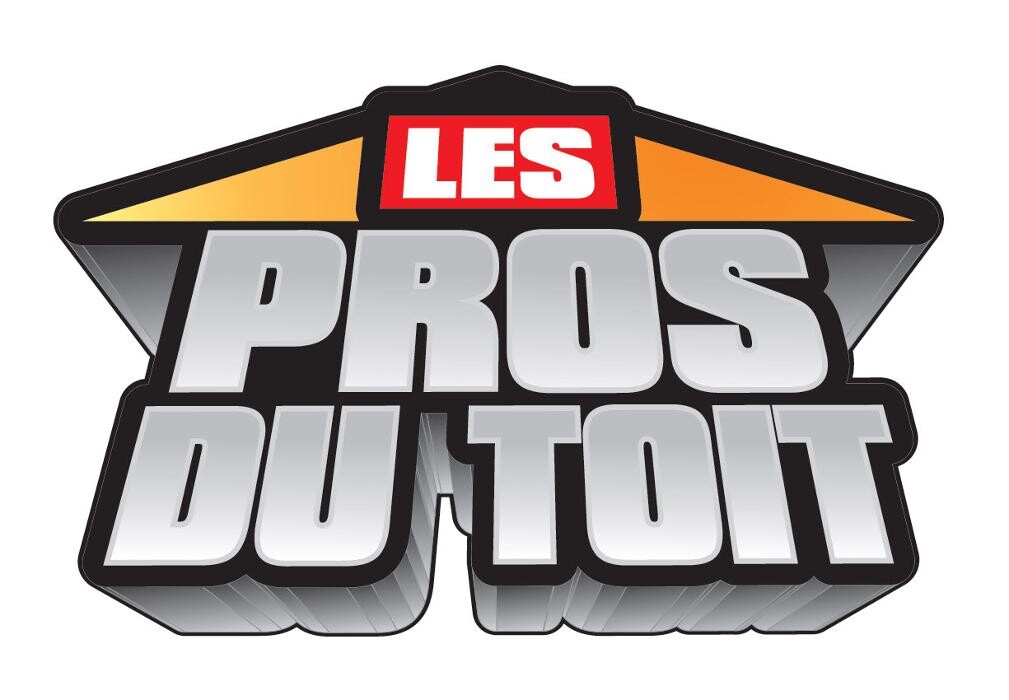 Images Les Pros Du Toit