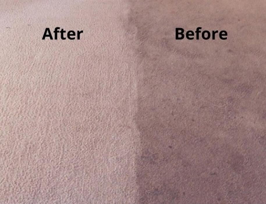 Images Fresh Now Carpet Care