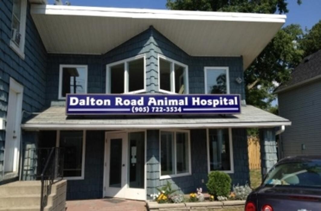 Images Dalton Road Veterinary Clinic