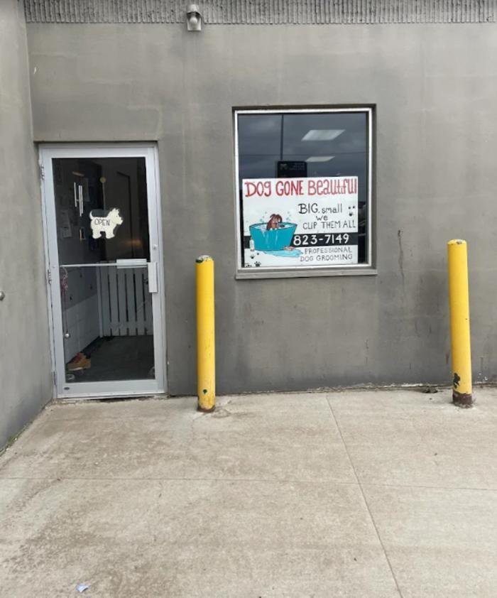 Images Dog Gone Beautiful