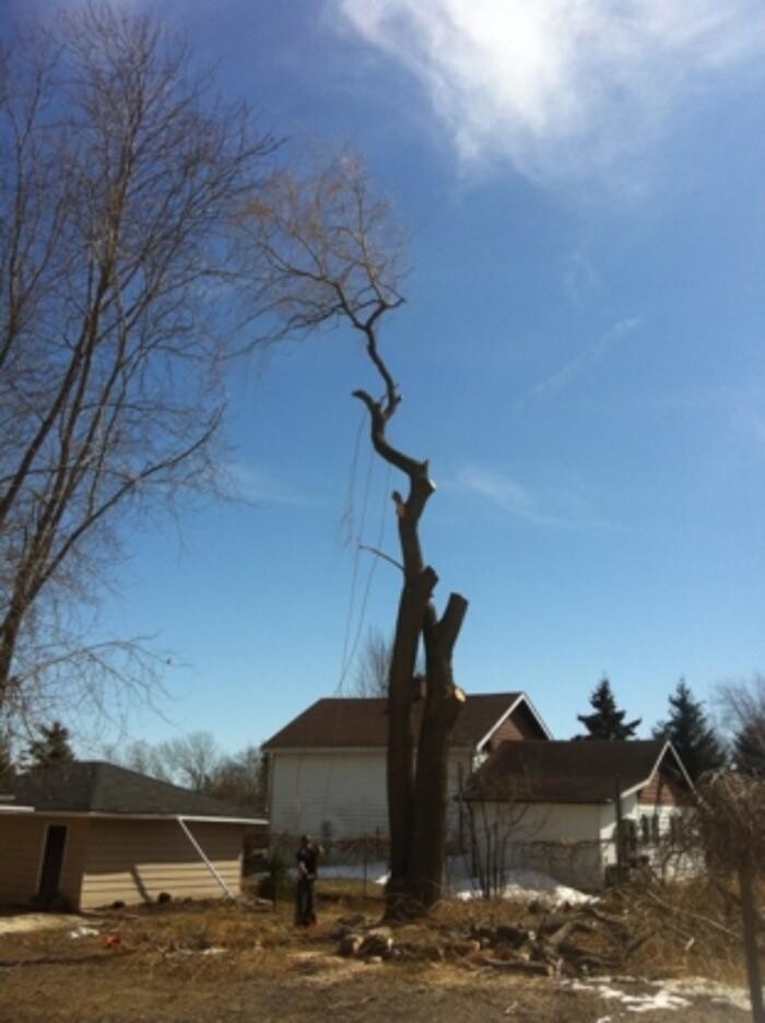 Images Huron Bay Tree Service