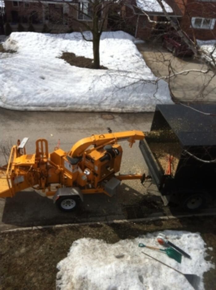 Images Huron Bay Tree Service