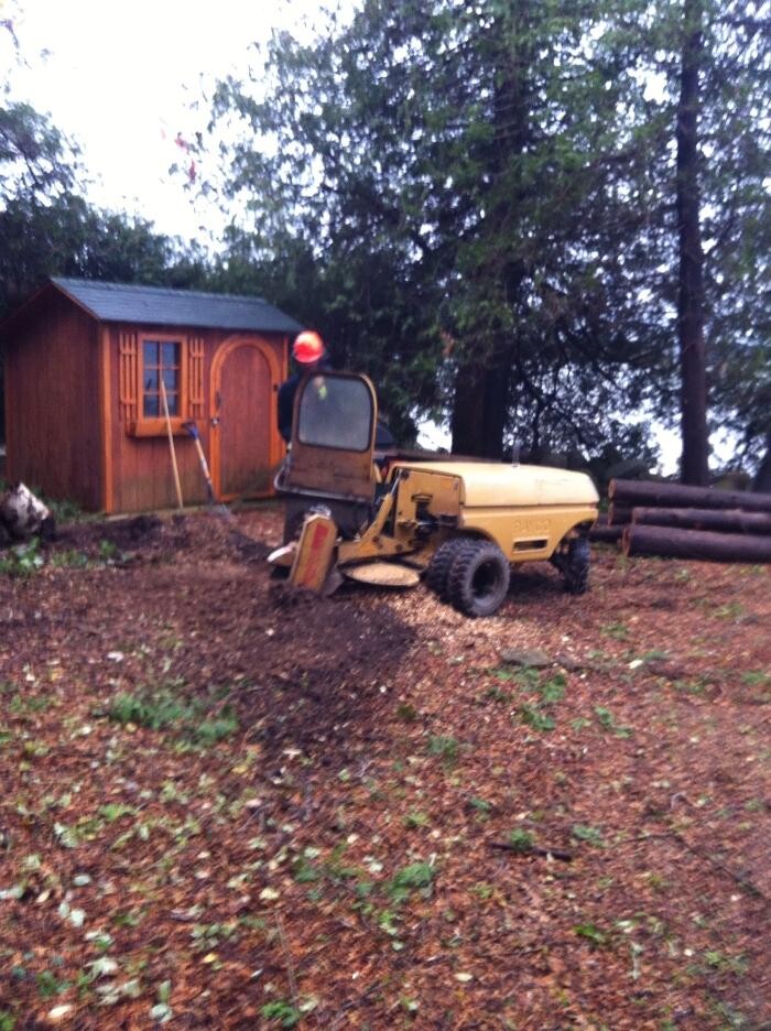 Images Huron Bay Tree Service