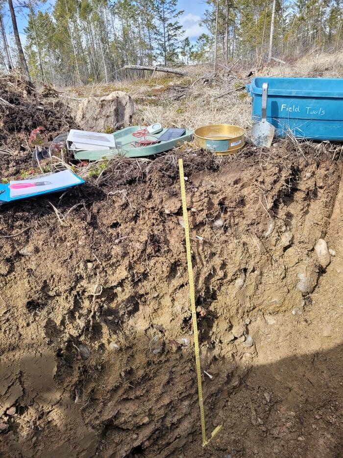 Images Bidder Construction