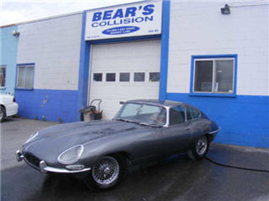 Images Bears Collision Centre