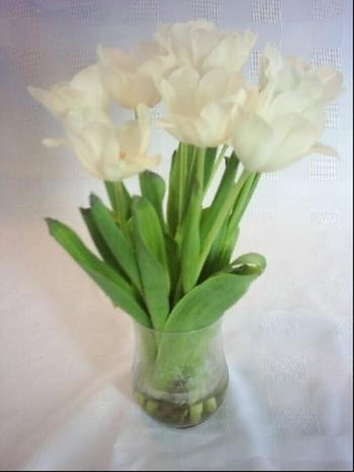 Images Mid Valley Gardens