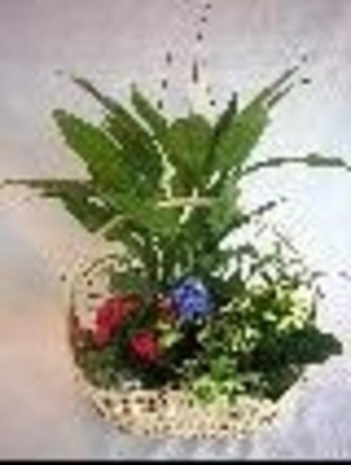 Images Mid Valley Gardens